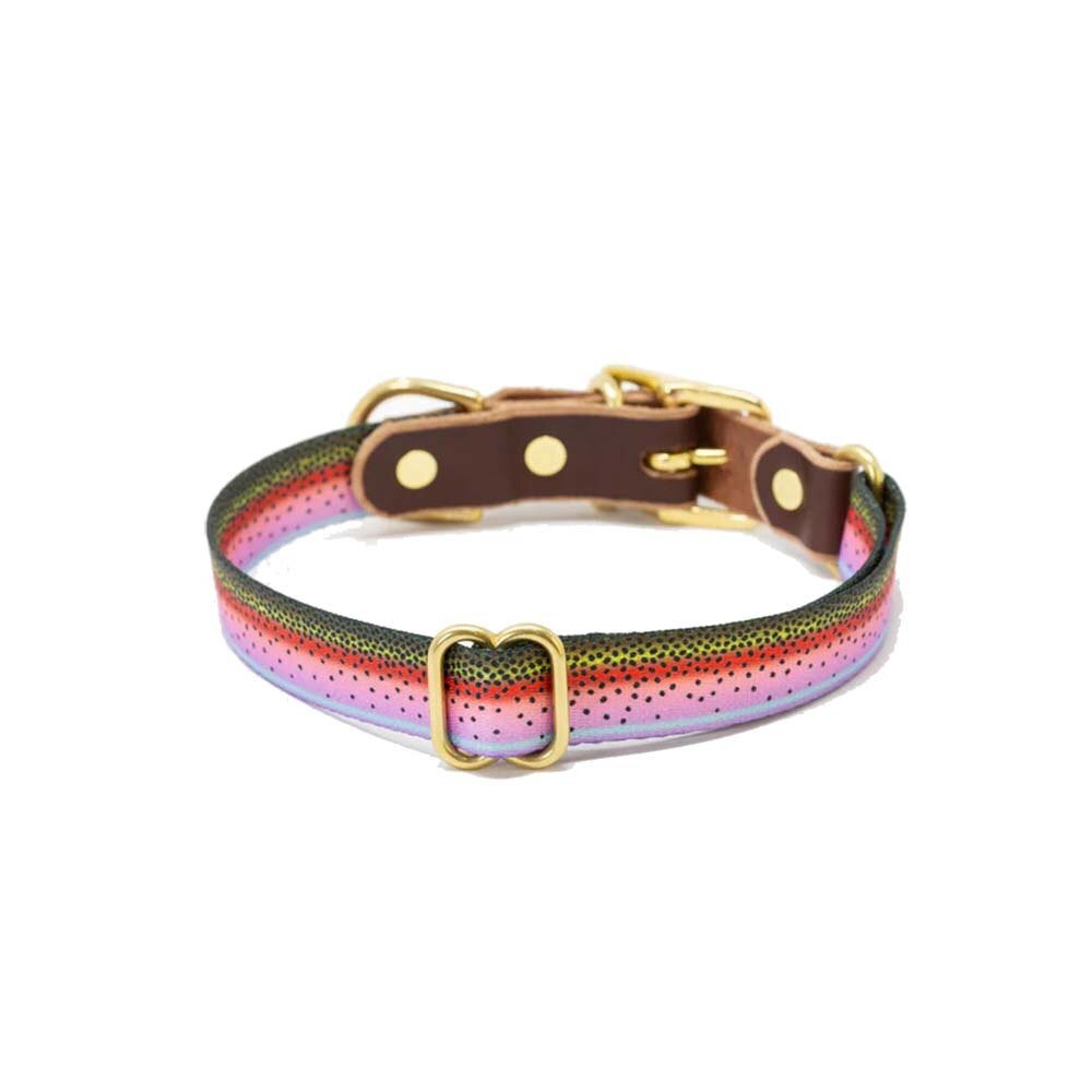 Whiskey Leatherworks Webbing Fish Print Dog Collar in Rainbow Trout