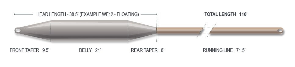 Airflo Ridge 2.0 GT Gangsta Floating Fly Line in Sea Foam and Chartreuse