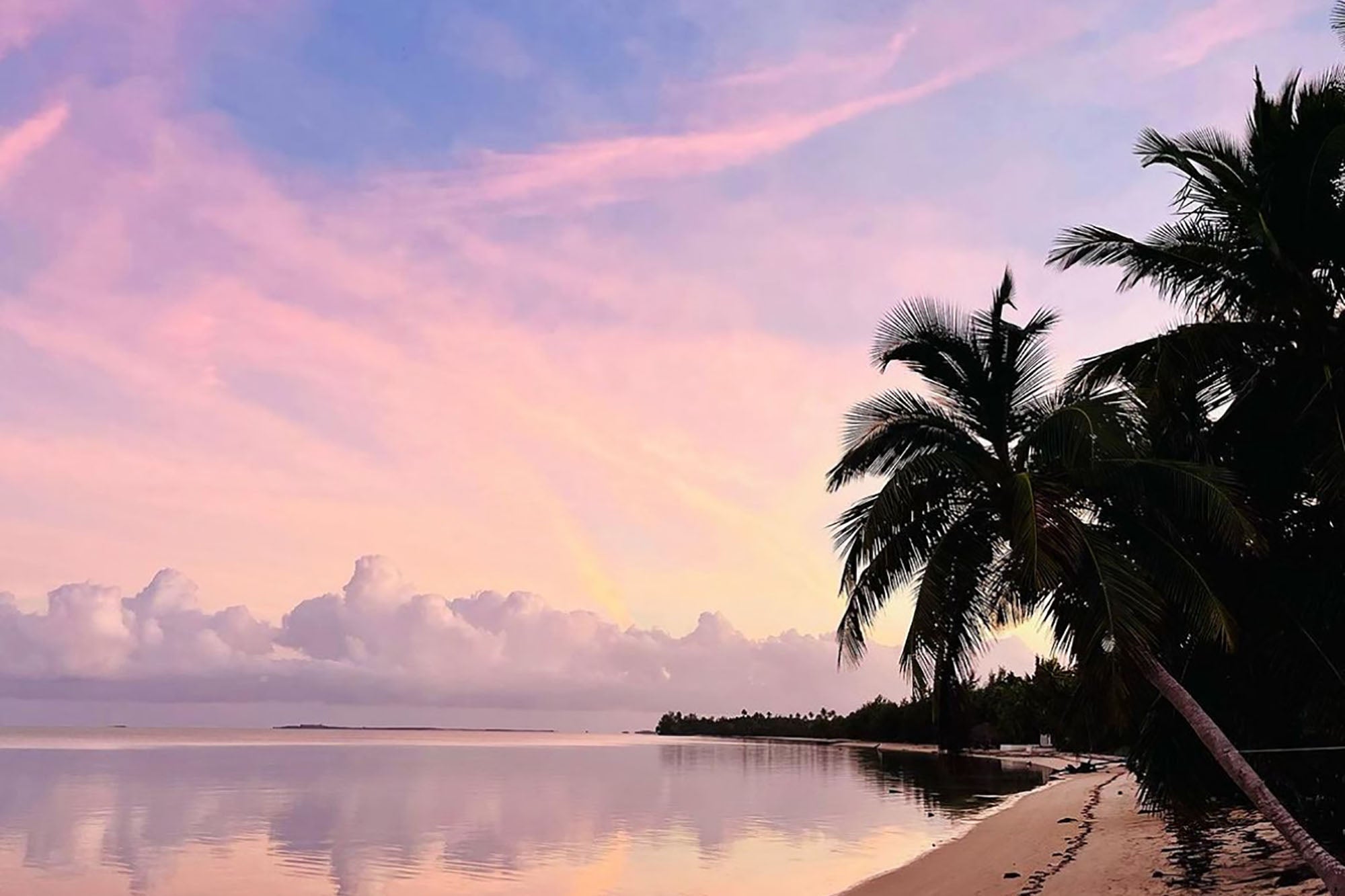 Tropical beach in the Bahamas with palm trees at sunset