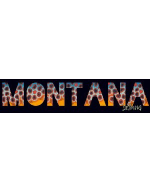 DeYoung State Flank Decals in Montana