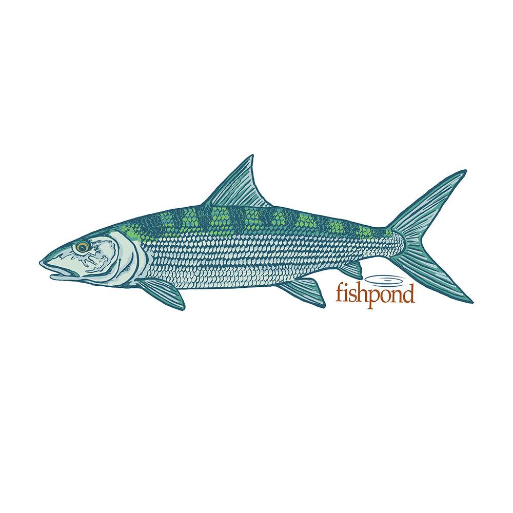 Fishpond Phantom Sticker in One Color