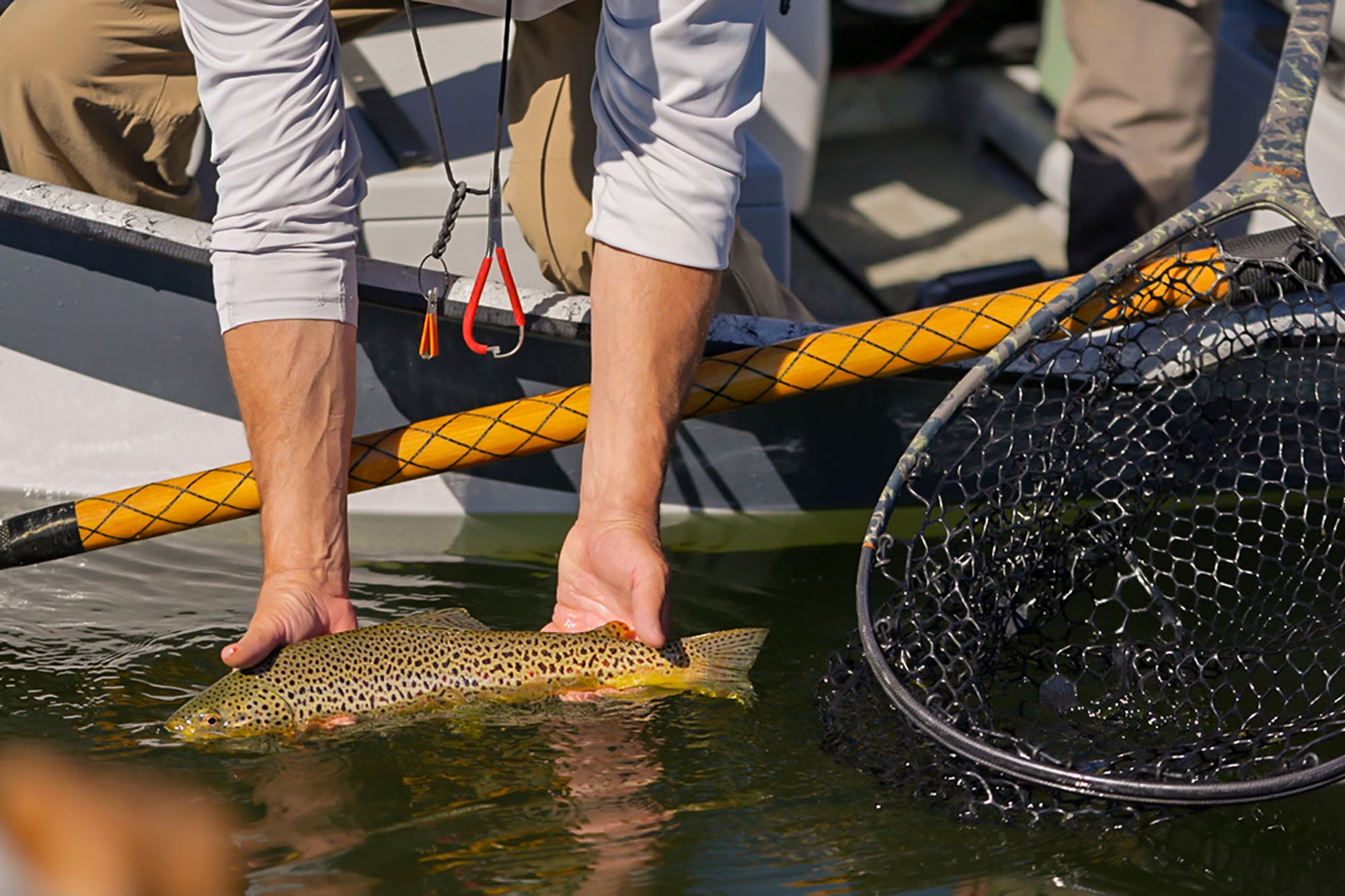 Person holding a fish next to a fishing net on a boat