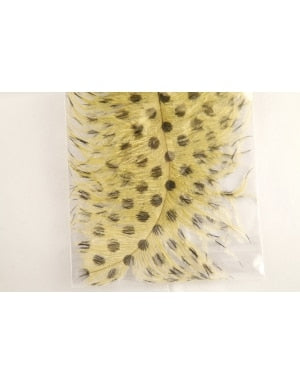 Olympic Peninsula Skagit Tactics Signature Intruder Drabs Dotted 2 Pack in Yellow