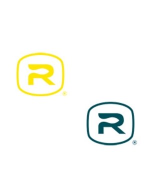 Rio Bug Decal in Yellow