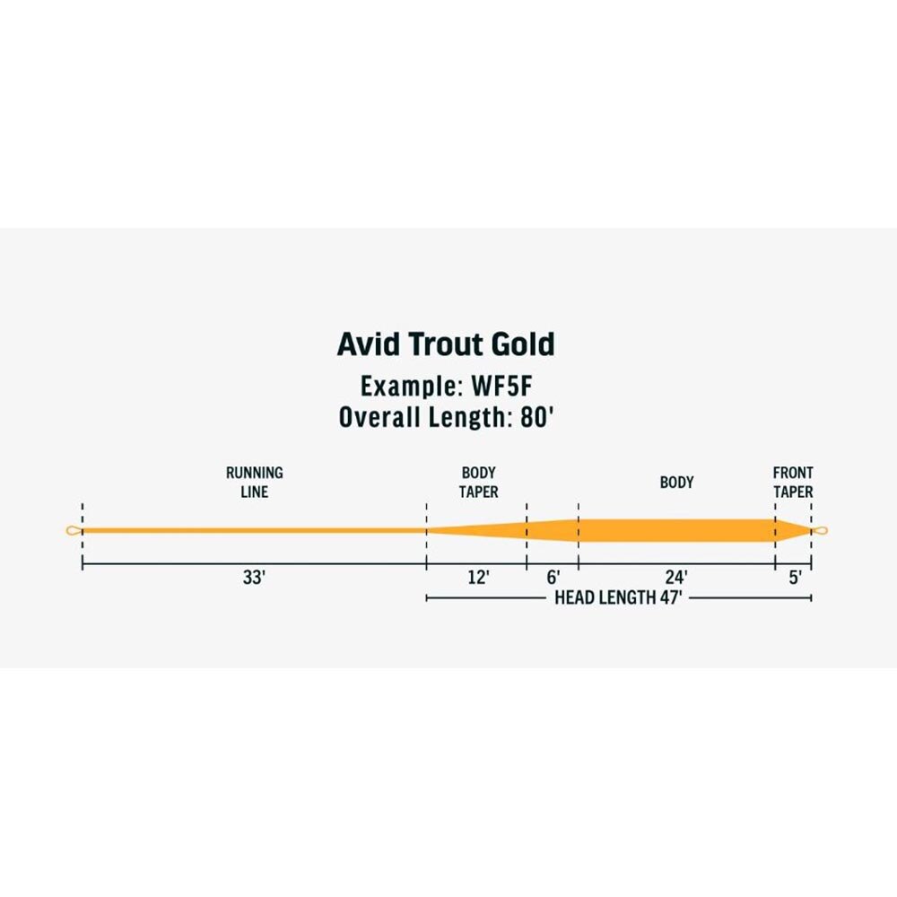 Rio Avid Gold Fly Line