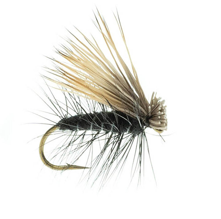 Umpqua Elk Hair Caddis in Black