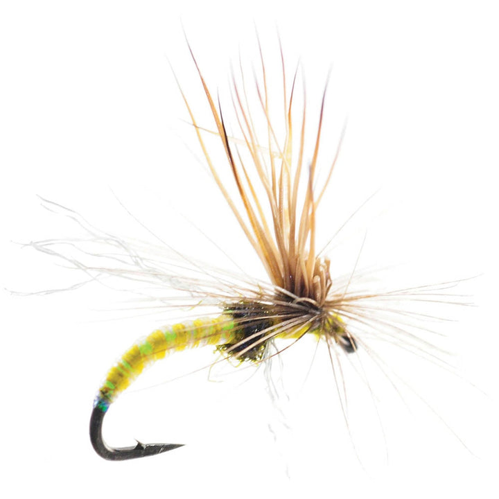 Umpqua Missing Link Mercer's in Yellow