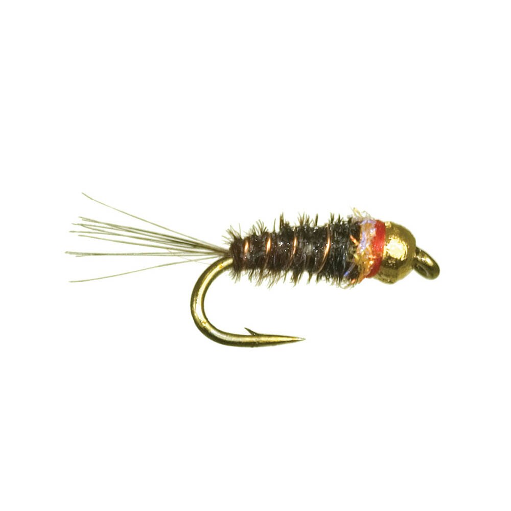 Umqpua Frenchie Egan's in One Color