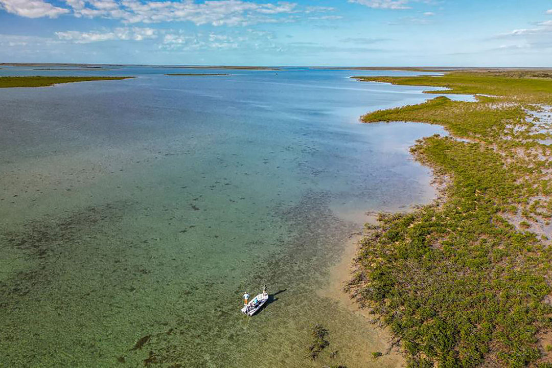 Aerial view of a an Andros South boat on clear water near a grassy shoreline with a blue sky.